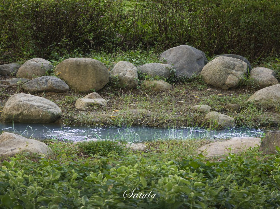 溪水流过长满青苔的石块与浅滩。