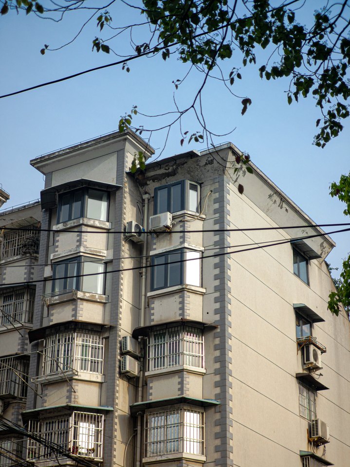 枝叶下的街巷建筑